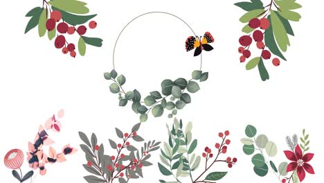 Animation-of-foliage,-berries-and-flowers-with-butterfly-and-circle-on-white-background