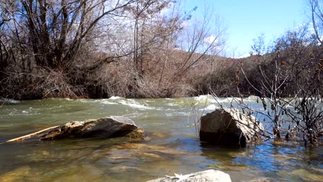 spring rain flood season. river rapids flow fast with a high load of water after rainy season