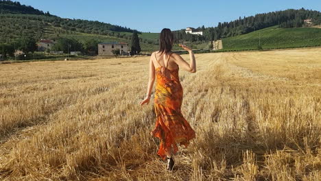 young brunette girl walking away in a wheat field at the beginning of summer