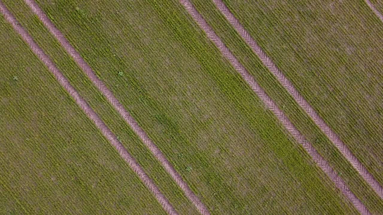 Revealing aerial birdseye view of tractor tracks in fresh green cereal field in overcast spring day, farming agriculture and food production, wide angle ascending drone shot
