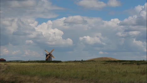 windmill in a field under a cloudy sky