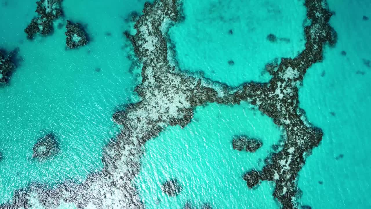 Drone view of corals and sea bed in blue shallow water in a lagoon on a sunny day in Maupiti, French Polynesia.