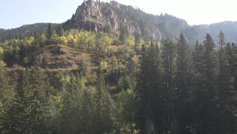 Drohne-Fliegt-über-Wechselnden-Bäumen-Im-Spearfish-Canyon