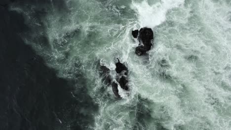 orbitando por encima de las olas espumosas que se estrellan sobre las rocas