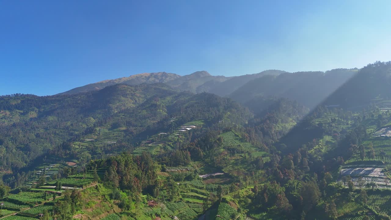 Aerial greenery landscape of Mount Merbabu bathed in sunlight under blue sky in slightly foggy morning