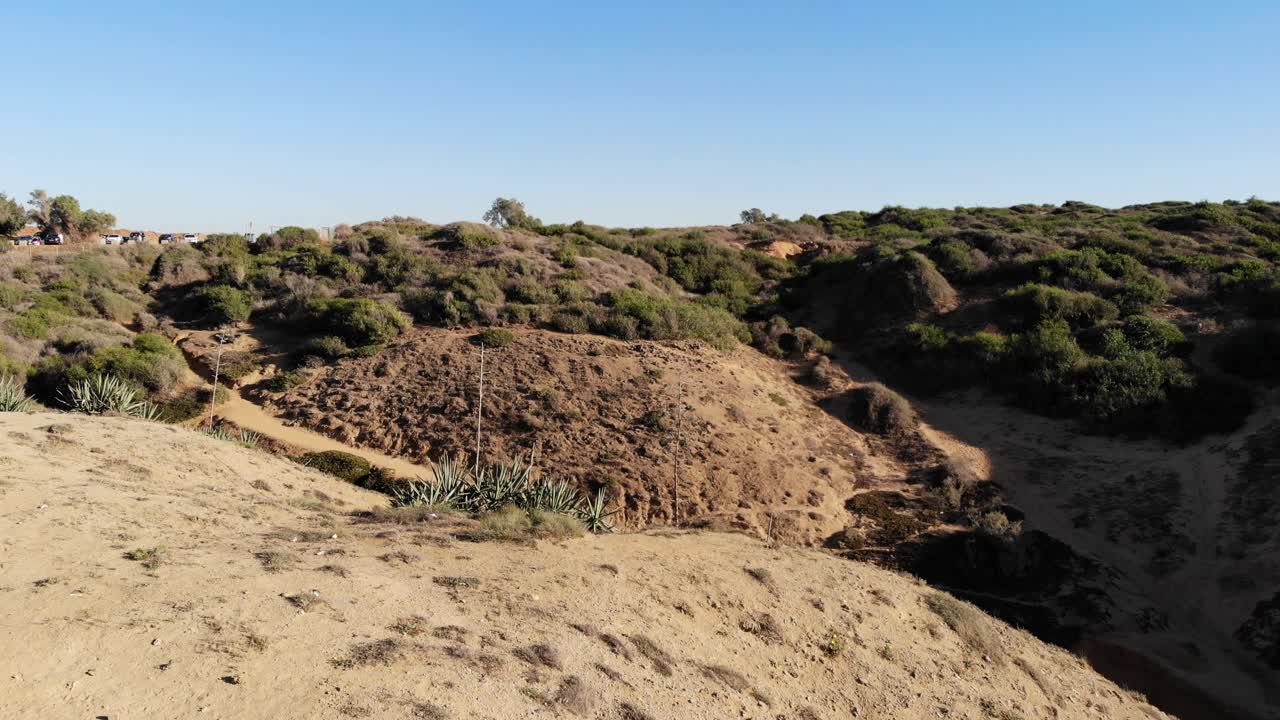 drone vuela sobre arena y árboles 4k