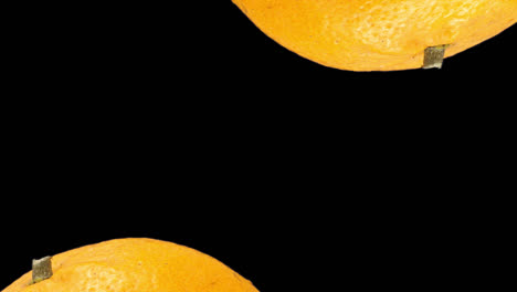 Oranges and Pumpkins