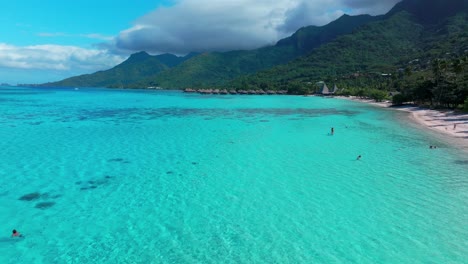 moorea toatea lookout french polynesia aerial drone snorkel swim turquoise blue water coral reef vista point observation deck tema'e sofitel kia ora public beach beach belvedere de toatea forward
