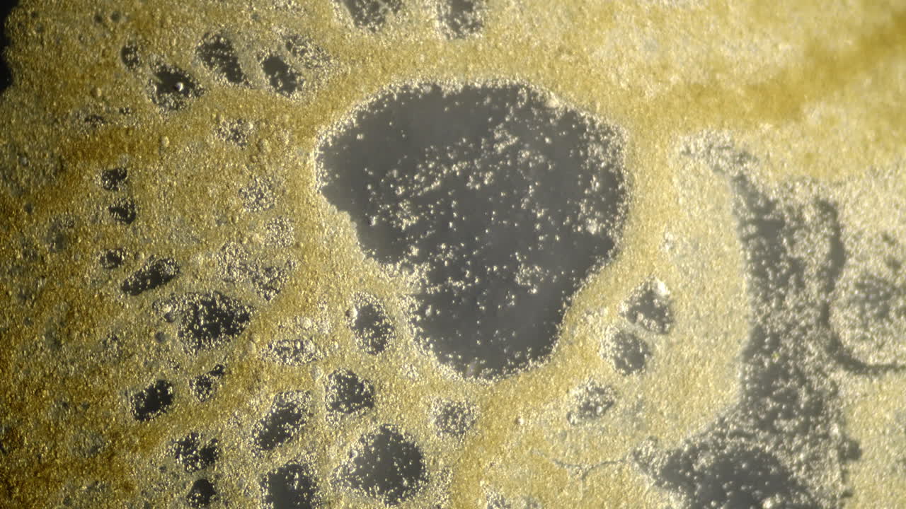 Abstract Golden Fluid Microscopic Texture