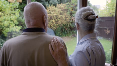 elderly care and support