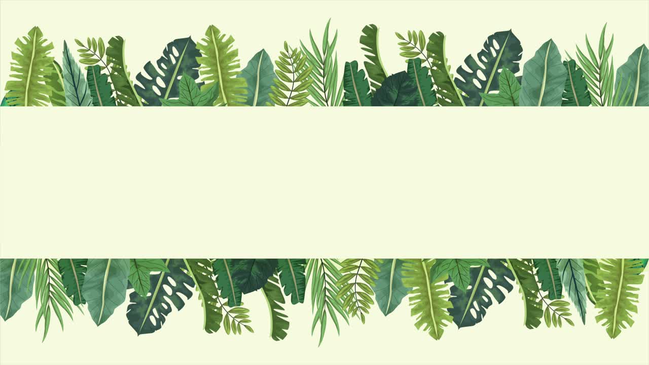 hojas exóticas tropicales marco de animación de ecología en fondo verde