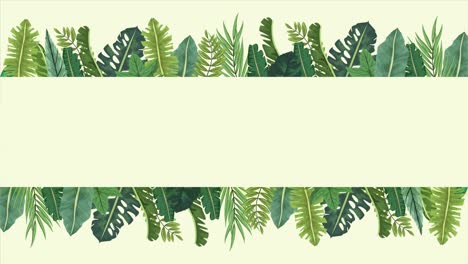 hojas exóticas tropicales marco de animación de ecología en fondo verde