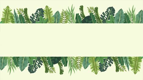 tropical exotics leafs ecology animation frame in green background