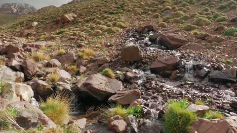 mountain stream flows in high atlas, morocco, slow motion