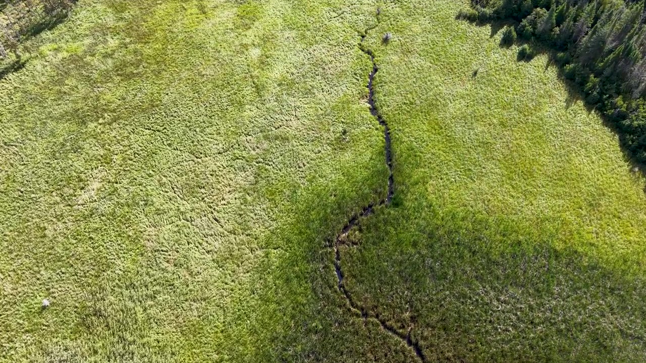 Aerial drone view looking straight down at a lush green marsh in Michigan's Upper Peninsula, featuring a narrow winding stream through the dense grass.