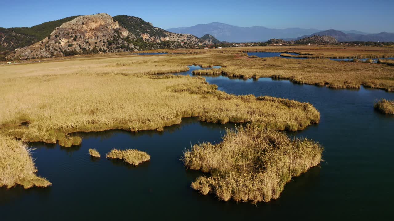 드론이 삼각주의 누렇게 변한 갈대 위로 날고 있다