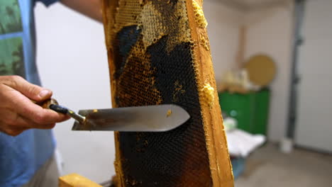 beekeeping: honeycomb harvesting and extraction