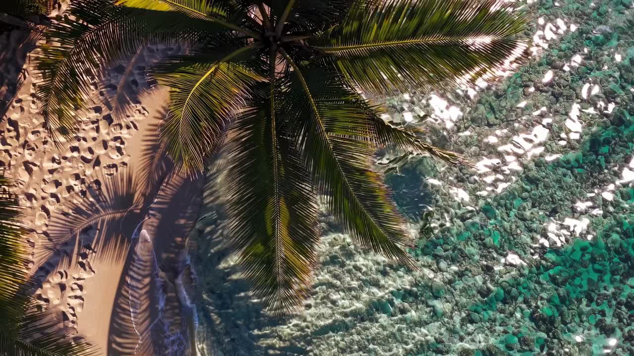 Letecký pohled na tropickou pláž se stíny palem a průzračnou vodou vytváří klidnou prázdninovou atmosféru