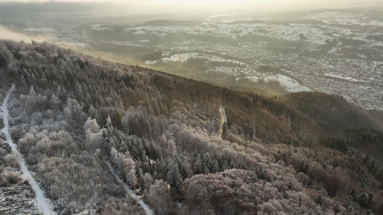 niebla moviéndose sobre los árboles cubiertos de nieve blanca en la colina durante un frío día de invierno