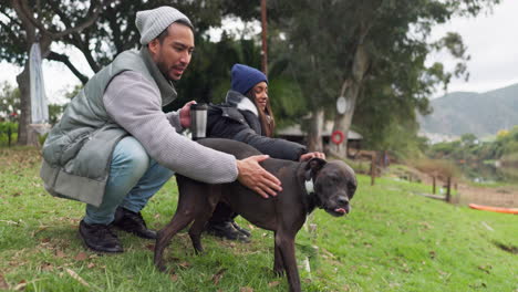 winter, playing and a couple with a dog in nature