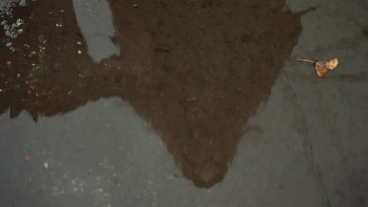 Nasse Asphaltpfütze, Reflexion, FußgängerIn, Blatt, städtisch, PendlerIn, Silhouette, die sich in flachem Wasser unter Abendlicht spiegelt, strukturierter Bürgersteig, verstreute Tröpfchen, einsame Stimmung eines ruhigen Stadtbummels