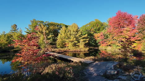 Beautiful-fall-autumn-trees-surrounding-calm-relaxing-lake-with-dock-for-people-to-enjoy-the-nature-and-outdoors