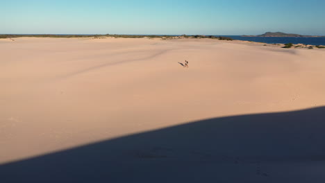 hiker walking alone on the dark point sand dunes at hawks nest, new south wales, australia