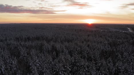 beautiful scenery of snowy tree tops in latvia during sunset - aerial shot