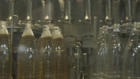 bottling line in action