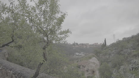 far away view of the alhambra palace in granada spain on a cloudy day with trees in the foreground log