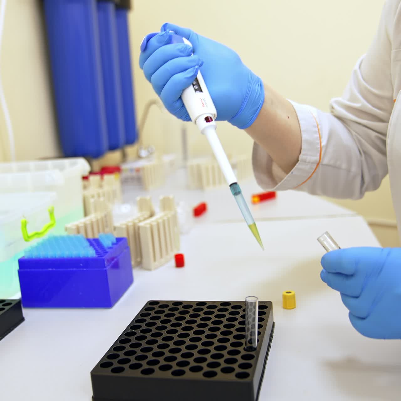 Female laboratory assistant filling the test glasses with liquid from special device. Modern science biomedical laboratory at hospital