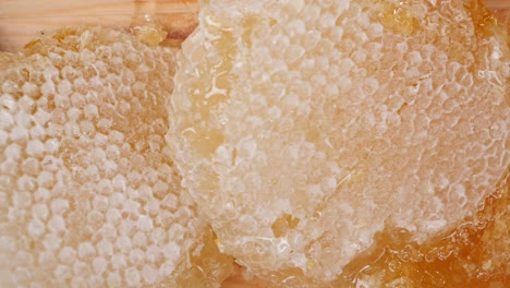 honeycomb close up