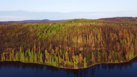 Hermoso-Paisaje-De-árboles-Marrones,-Naranjos-Y-Verdes,-Junto-A-Un-Lago