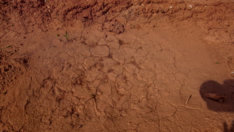 water in the soil evaporating and leaving cracks - time lapse