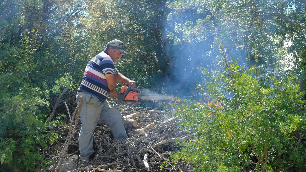 Man cutting wood with chainsaw garden