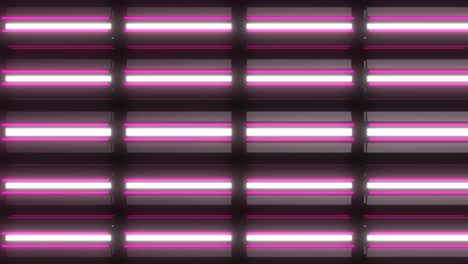 abstract neon pink and white light pattern
