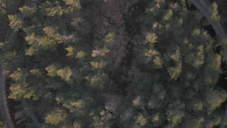 woodland riding track for bicycles, aerial top down view