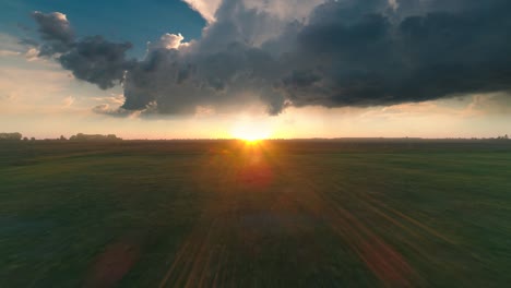 the aerial flight on the sunny sky background