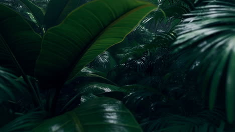 lush tropical foliage