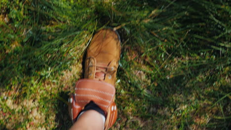 los pies del viajero atraviesan musgos y pantanos húmedos mundo perdido del pantano un viaje a través de t