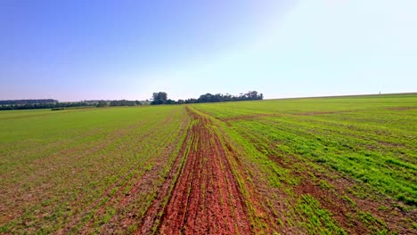 Rows-of-crops-growing-on-a-huge-plantation-in-Brazil---aerial-flyover