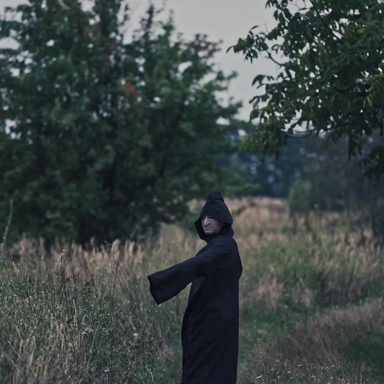 Mysterious Hooded Figure in a Dark Field
