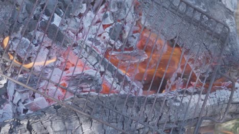 close up slow motion shot of wood logs buring in a camp fire with a metal grill on top for cooking