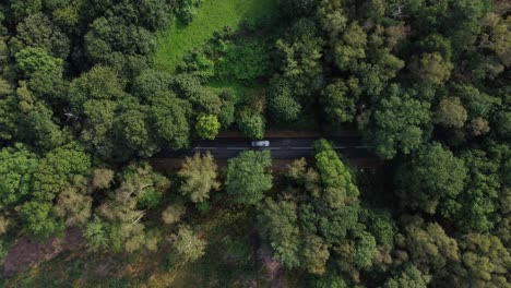High-birdseye-view-of-dense-English-woodland-as-cars-drive-on-the-road