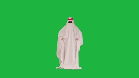 녹색 스크린에 유령 의상