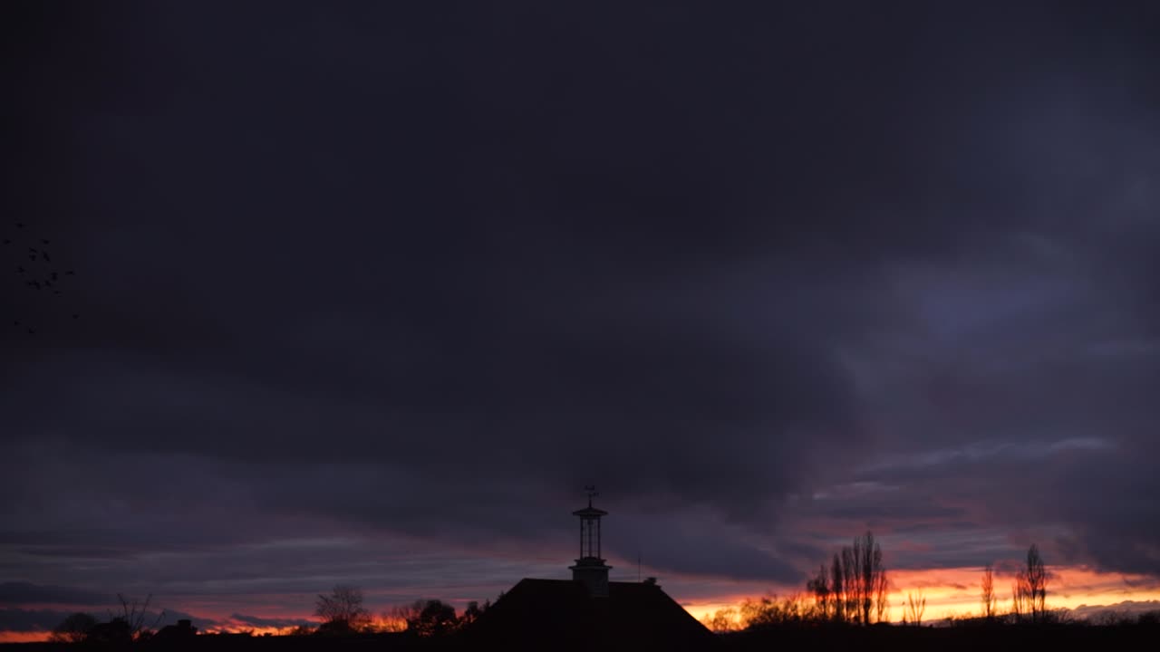 Starling bird flock flying far murmuration cloud dusk silhouette clock tower