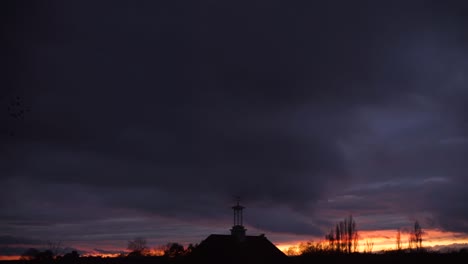 starling bird flock flying far murmuration cloud dusk silhouette clock tower