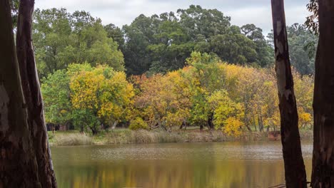 Colourful-Autumn,-Framed-among-Trees,-Dolly-In-Shot,-Time-Lapse