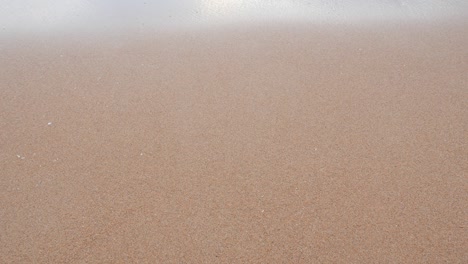 beautiful nature of clean beach and sea wave