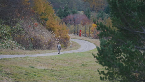 adult man walking in the countryside passing by autumn trees in mountain hill